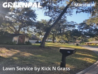 Grass Cut nearby Jacksonville, FL, 