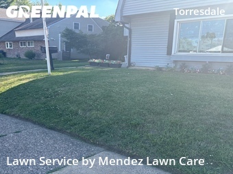 Landscaping Cleanup In Philadelphia,19114,Landscaping Renovation by Mendez Lawn Care , work completed in Jun , 2026