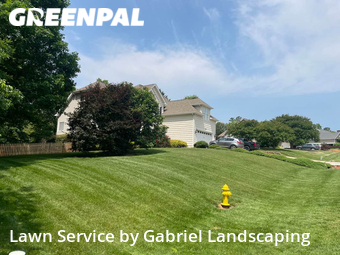Yard Cutting nearby Denver, NC, 