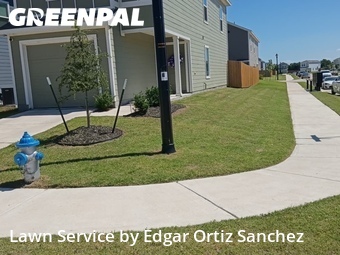 Lawn mowed in Princeton, 75407