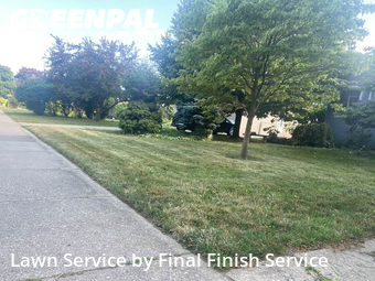 Lawn Mow nearby St. Clair Shores, MI, 