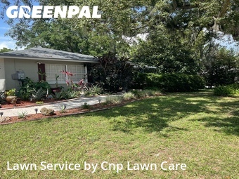 Lawn mowed in Temple Terrace, 33617