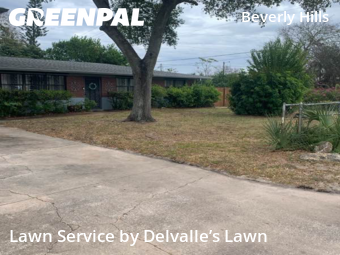 Lawn Mow nearby Daytona Beach, FL, 
