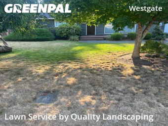 Landscaping Maintenance in Edmonds, 98020, Yard Cutting by Quality Landscaping, work completed in Nov , 2025