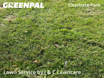 Lawn Care nearby Nashville, TN, 