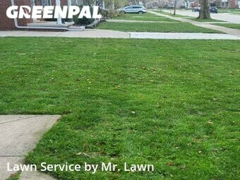Lawn Mowing Service nearby St. Clair Shores, MI, 
