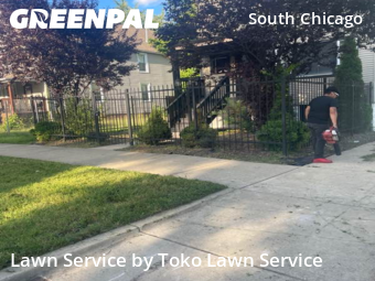 Lawn Cut nearby Chicago, IN, 