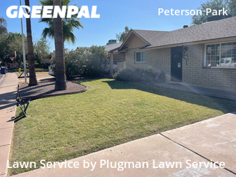 Lawn mowed in Tempe, 85282