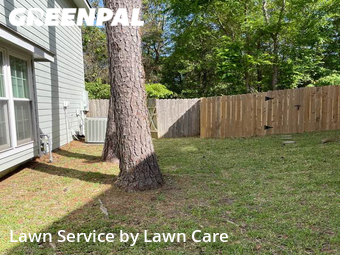 Lawn Mowing nearby The Woodlands, TX, 