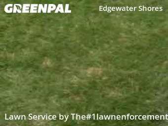 Lawn Care Service nearby Edgewater, FL, 