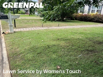 Lawn mowed in Tuscaloosa, 35401