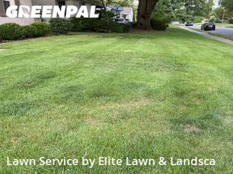 Lawn Maintenance nearby Memphis, MS, 