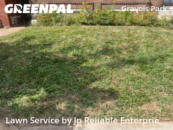 Lawn Mowing nearby St. Louis, IL, 