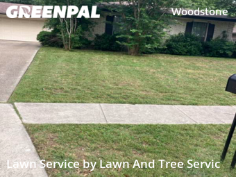 Grass Cutting nearby San Antonio, TX, 