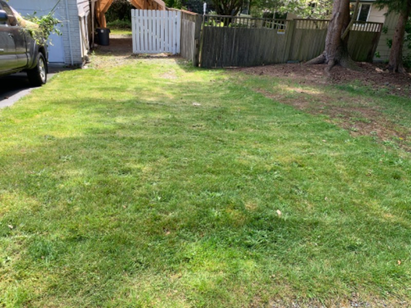 Lawn Care Service in Seattle, WA, 98115