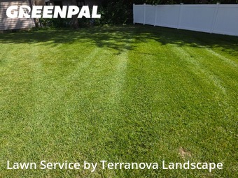 Lawn Care in Carol Stream, 60188, Mowing Services by Terranova Landscape, work completed in Nov , 2025