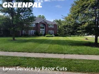 Lawn Cutting nearby Indianapolis, IN, 