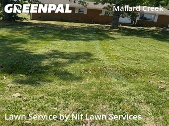 Lawn Cut nearby Charlotte, NC, 