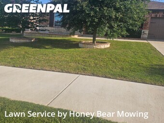 Lawn Cut nearby Cibolo, TX, 