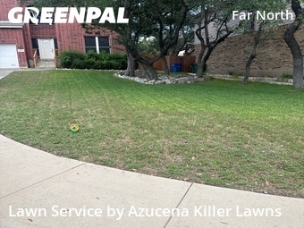 Grass Cutting nearby San Antonio, TX, 