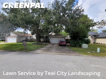 Grass Cut nearby Jacksonville, FL, 