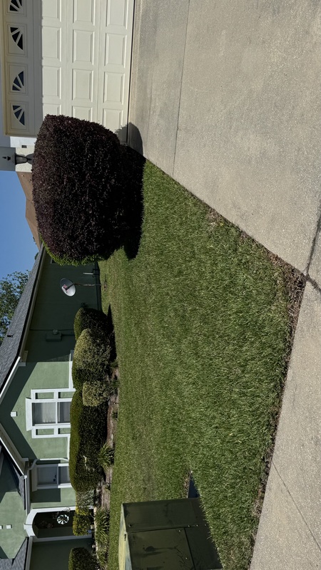 Work Image 6