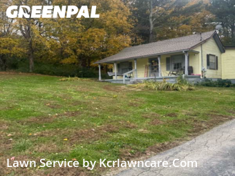 Backyard Mowing in Mount Pleasant, 38474, Mowing Services by Kcrlawncare.Com, work completed in Dec , 2025