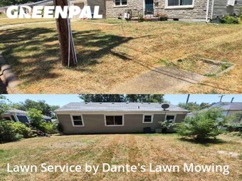 Grass Cutting nearby Springfield, MO, 