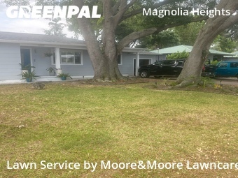 Grass Cutting nearby St. Petersburg, FL, 