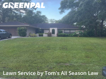 Lawn Care Service nearby Spring Hill, FL, 