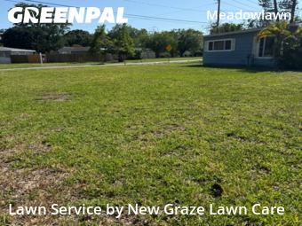 Lawn Cut nearby St. Petersburg, FL, 