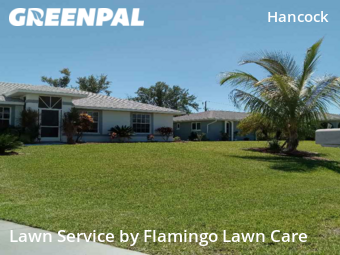Lawn Cut nearby Cape Coral, FL, 