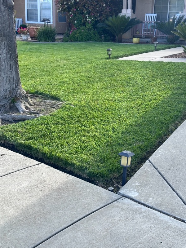Aj's Landscaping Lawn Care Services in Newman, CA