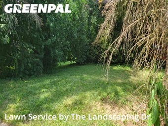 Yard Mowing nearby Louisville, KY, 