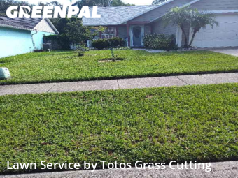 Lawn Cutting nearby Apopka, FL, 