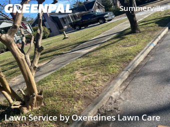 Lawn Mow nearby Augusta, GA, 