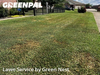 Lawn Mow nearby Gallatin, TN, 