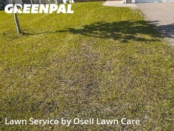 Grass Cutting nearby Blaine, MN, 