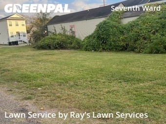 Lawn Care Service nearby New Orleans, LA, 