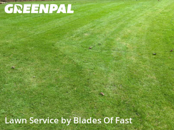 Lawn Cutting nearby Atlanta, GA, 