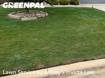 Lawn Mowing nearby Temple, TX, 