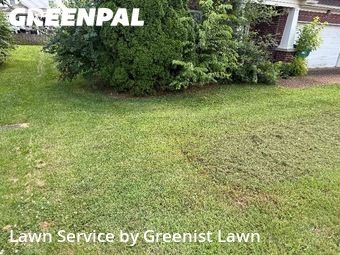 Lawn Maintenance nearby Spring Hill, TN, 