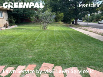 Lawn Care nearby Denver, CO, 
