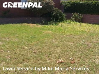 Lawn Cutting nearby Downey, CA, 