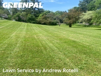 Yard Cutting nearby Baldwinsville, NY, 