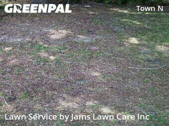 Lawn Mow nearby Tampa, FL, 