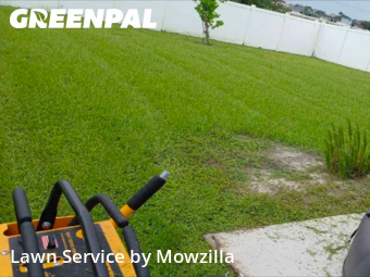 Grass Cut nearby Ruskin, FL, 