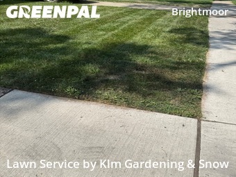 Yard Mowing nearby Detroit, MI, 