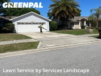 Lawn Cut nearby St. Cloud, FL, 