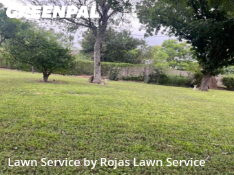 Lawn Maintenance nearby San Juan, TX, 